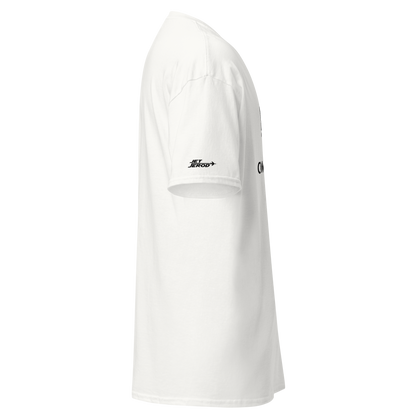 Come and Fly It - Decathlon